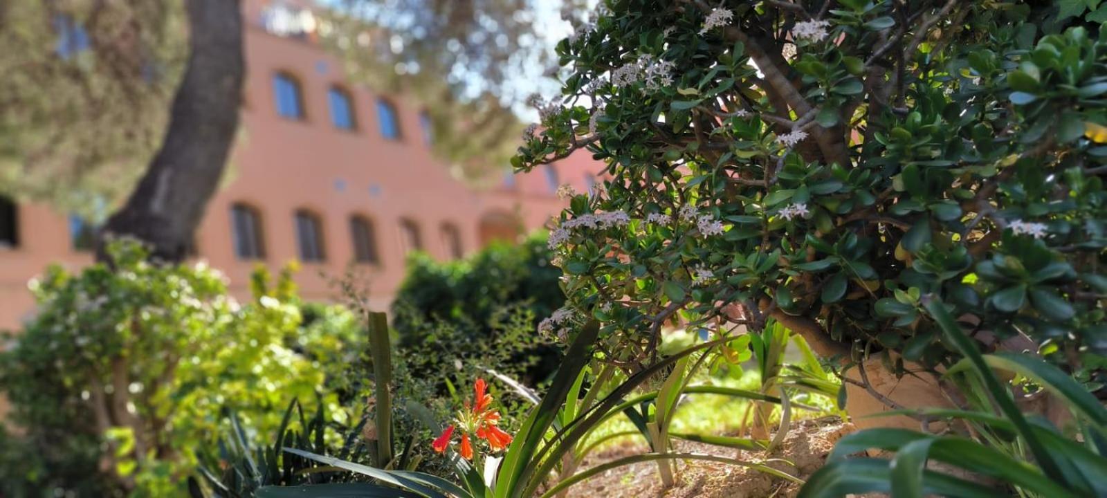 Albergue Rosa Molas Arrabal de Jesus Exteriér fotografie
